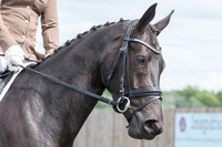 Bridle No.66