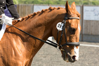Bridle No.91