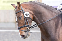 Bridle No.64
