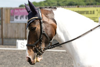 Bridle No.69