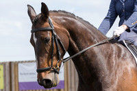 Bridle No.107