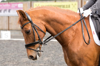 Bridle No.82
