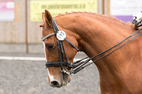 Bridle No.95
