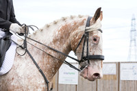 Bridle No.57