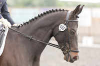 Bridle No.88