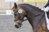 Bridle No.65