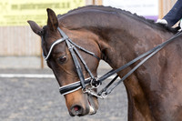 Bridle No.90