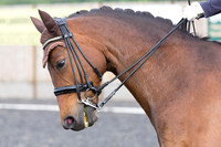 Bridle No.92