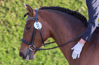 Bridle No.33