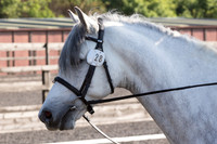 Bridle No.28