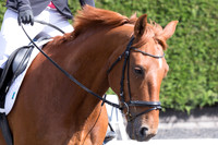 Bridle No.18
