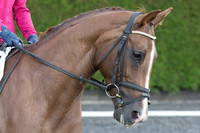 Bridle No.9