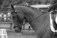 _54A2226B&W