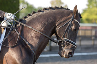 Bridle No.113