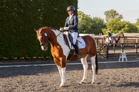 Bridle No.112