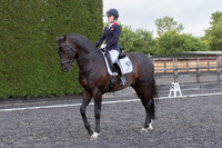 Bridle No.114