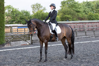 Bridle No.115