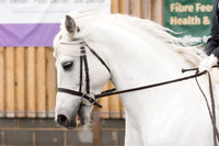 Bridle No.29