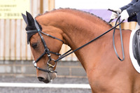 Bridle No.5