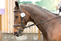 Bridle No.37