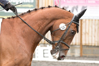 Bridle No.26