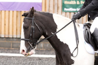 Bridle No.30
