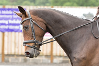 Bridle No.12