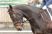 Bridle No.38