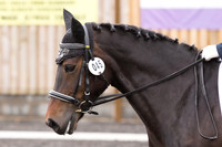 Bridle No.45