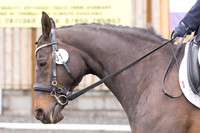 Bridle No.31