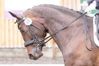 Bridle No.49