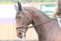 Bridle No.36