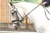 Bridle No.21