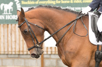 Bridle No.17
