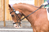 Bridle No.9
