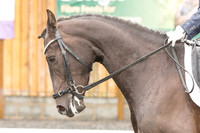 Bridle No.23