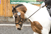 Bridle No.4