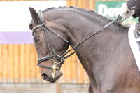 Bridle No.53