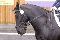 Bridle No.32