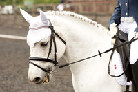 Bridle No.47