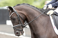 Bridle No.54