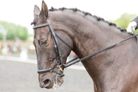 Bridle No.41