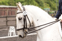 Bridle No.22