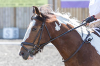 Bridle No.33