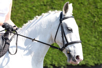 Bridle No.42