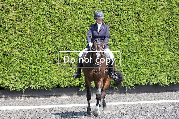 _54A6364