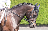 Bridle No.45