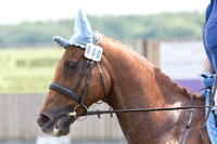 Bridle No.30