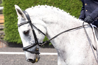 Bridle No.4
