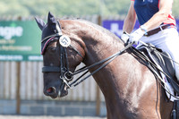 Bridle No.57